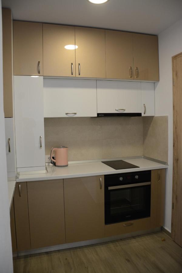 Luxury Panorama Apartament,Coresi Braşov Exteriör bild